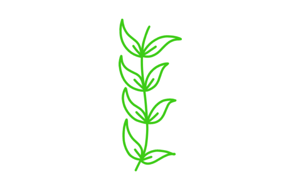Download Floral Clipart - Floral clipart Collection