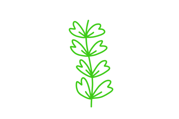 Download Floral Clipart - Floral clipart Collection