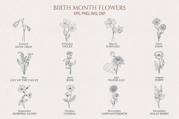 Download Hand Drawn Birth Month Flower Collection - Hand drawn Collection