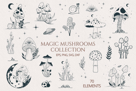 Download Hand Drawn Magic Mushrooms Collection - Hand drawn Collection