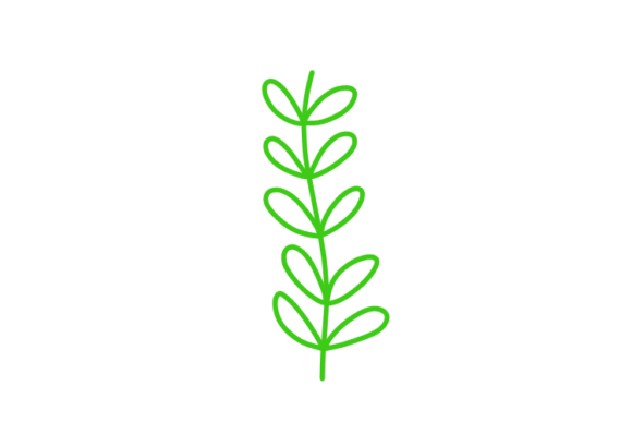 Download Floral Clipart - Floral clipart Collection