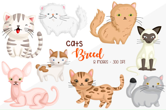 Download Cat Breed Clipart - Cute Animal Clip Art - Cute animal clip art Collection