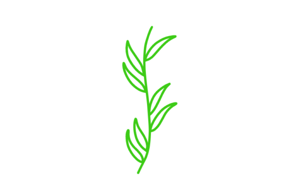 Download Floral Clipart - Floral clipart Collection