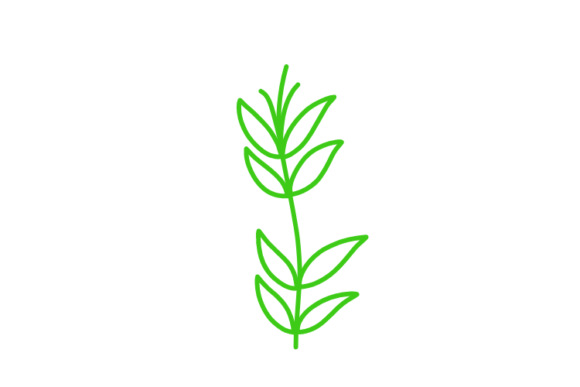 Download Floral Clipart - Floral clipart Collection