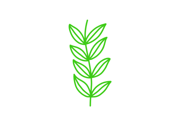 Download Floral Clipart - Floral clipart Collection