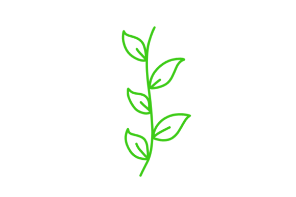 Download Floral Clipart - Floral clipart Collection