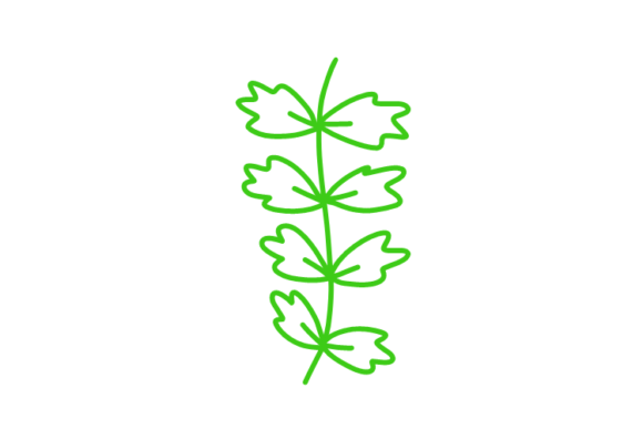 Download Floral Clipart - Floral clipart Collection