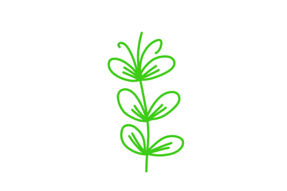 Download Floral Clipart - Floral clipart Collection