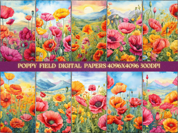 Download Vibrant Poppy Field Floral Backgrounds - Background Collection