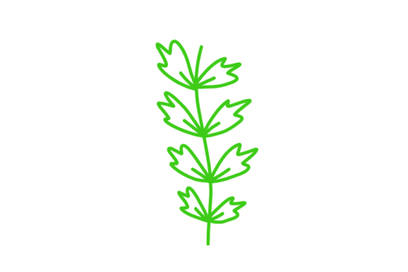 Download Floral Clipart - Floral clipart Collection