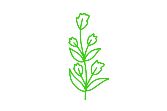 Download Floral Clipart - Floral clipart Collection