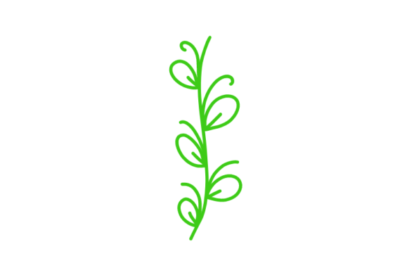 Download Floral Clipart - Floral clipart Collection