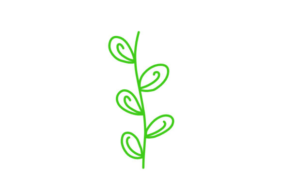 Download Floral Clipart - Floral clipart Collection